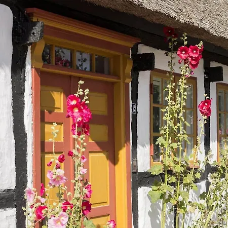 Ferienhaus 20135-samso-maarup-skov-39