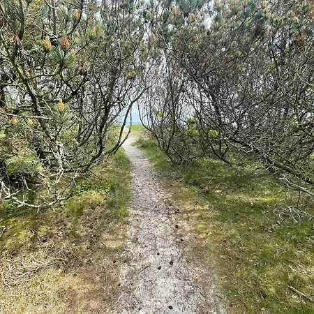20135-samso-maarup-skov-39 * Nordby (Midtjylland)