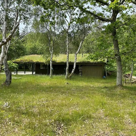 20135-samso-maarup-skov-39